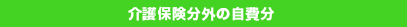 介護保険分外の自費分